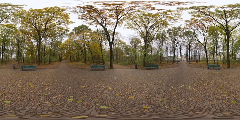 全景·秋季械树小径