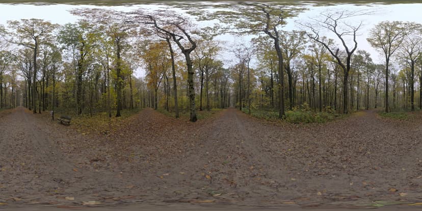 全景·秋色路口